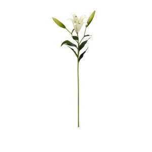 Flor Lirio